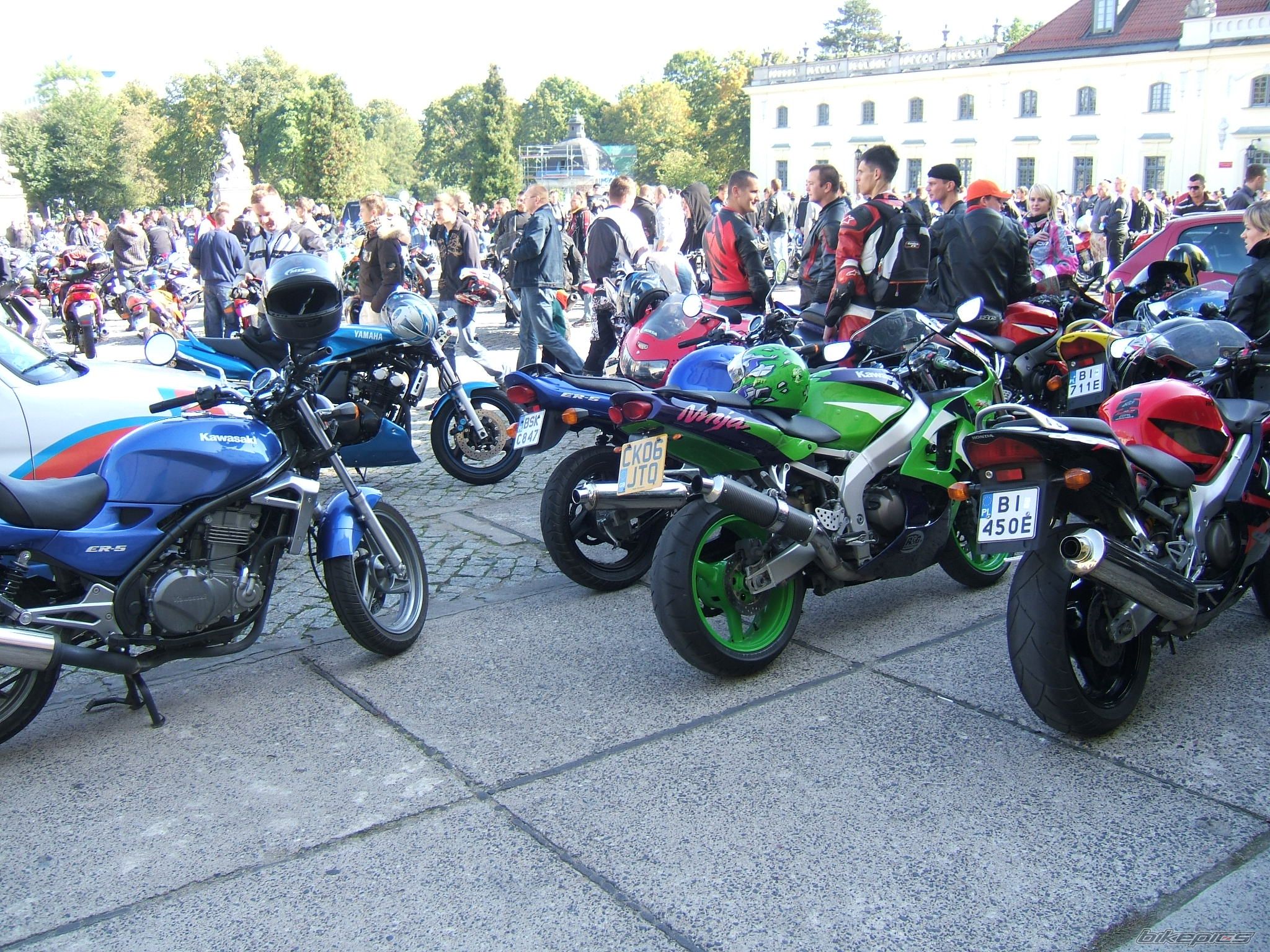 Photo 1431195