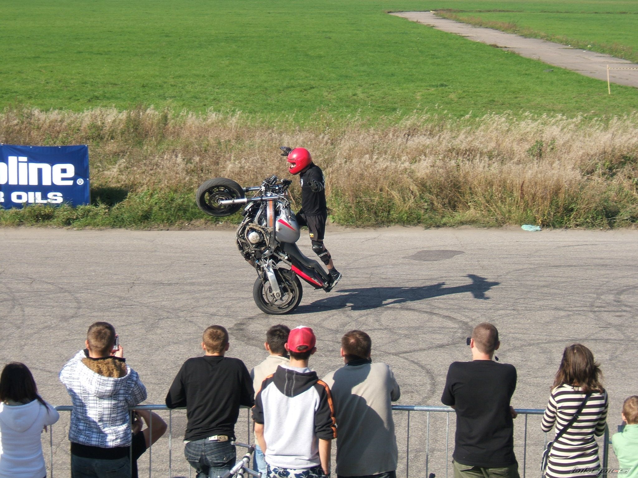 Photo 1431196