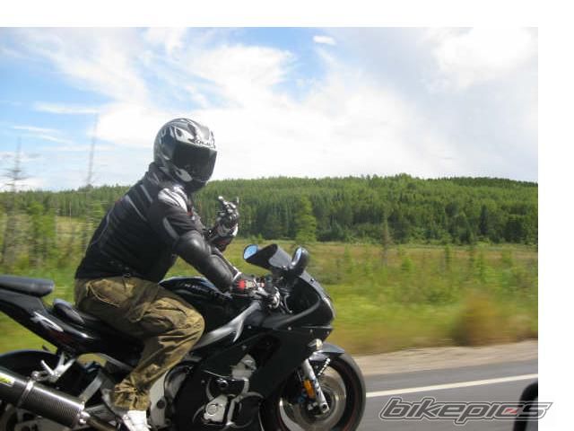 Photo 1431213
