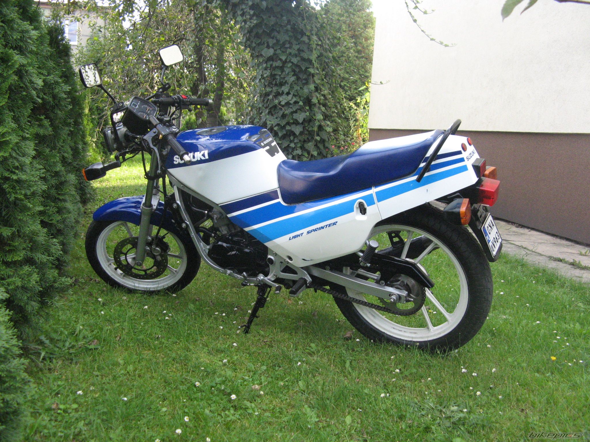 Photo 1431225