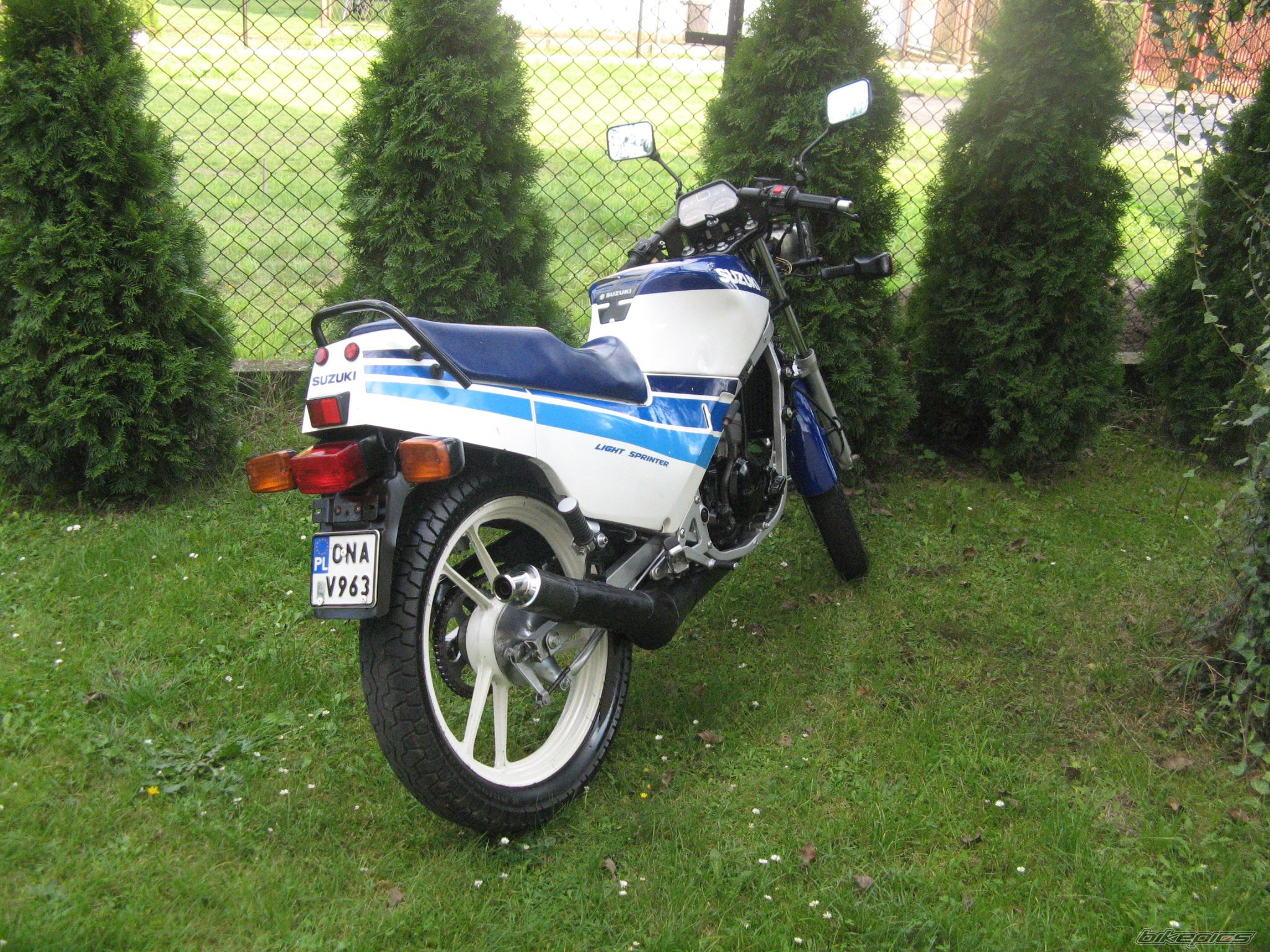 Photo 1431229