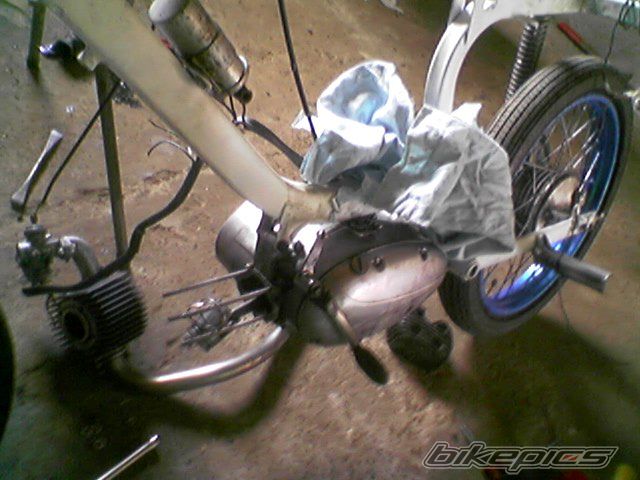 Photo 1431235