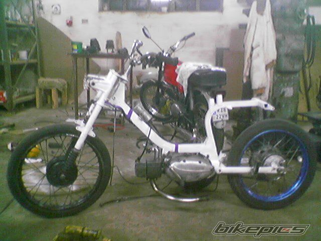 Photo 1431237