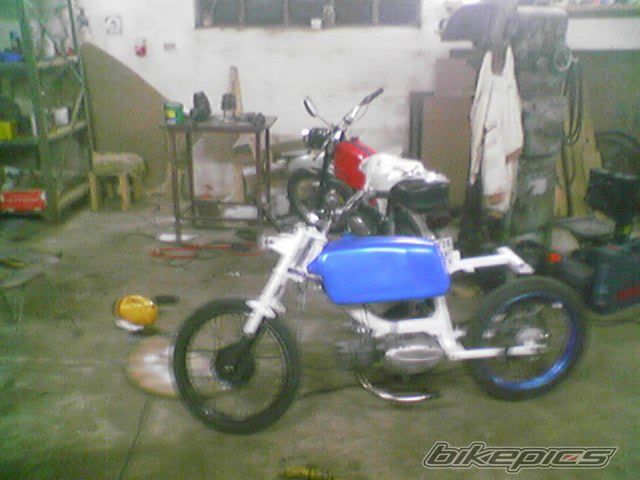 Photo 1431238