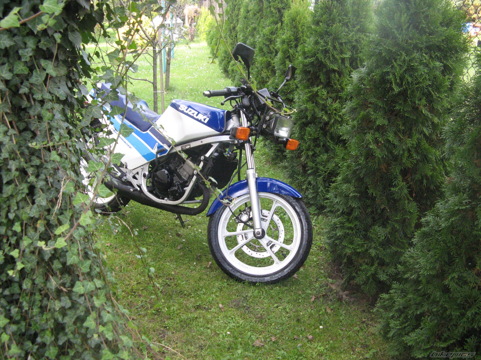 Photo 1431250