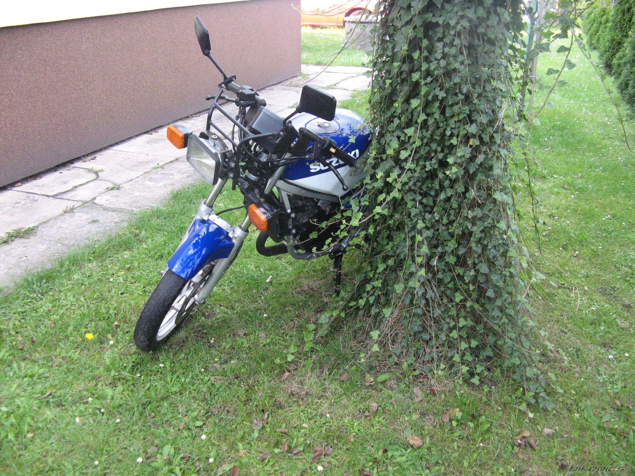 Bike Photo 1431262