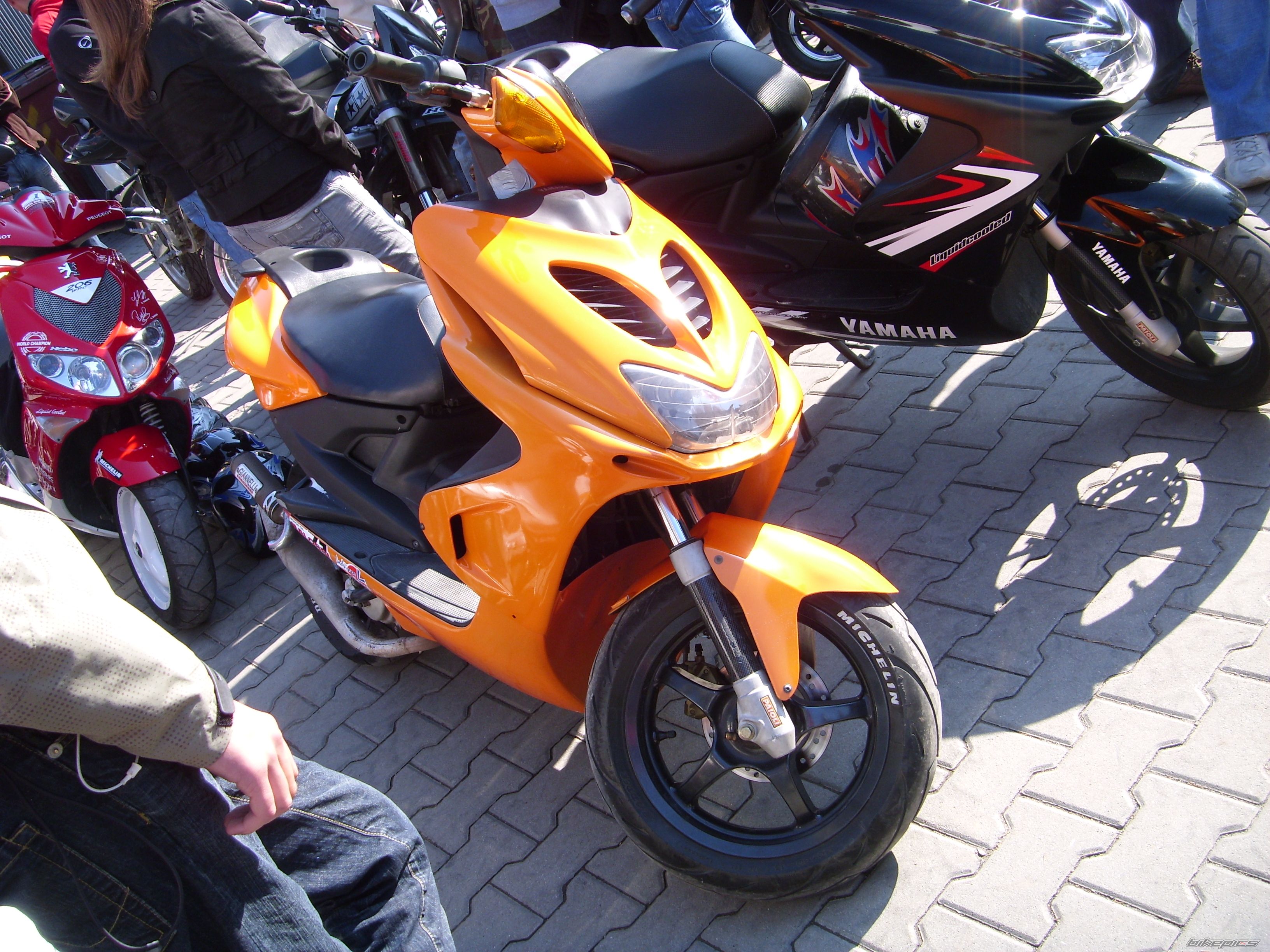 Photo 1431263