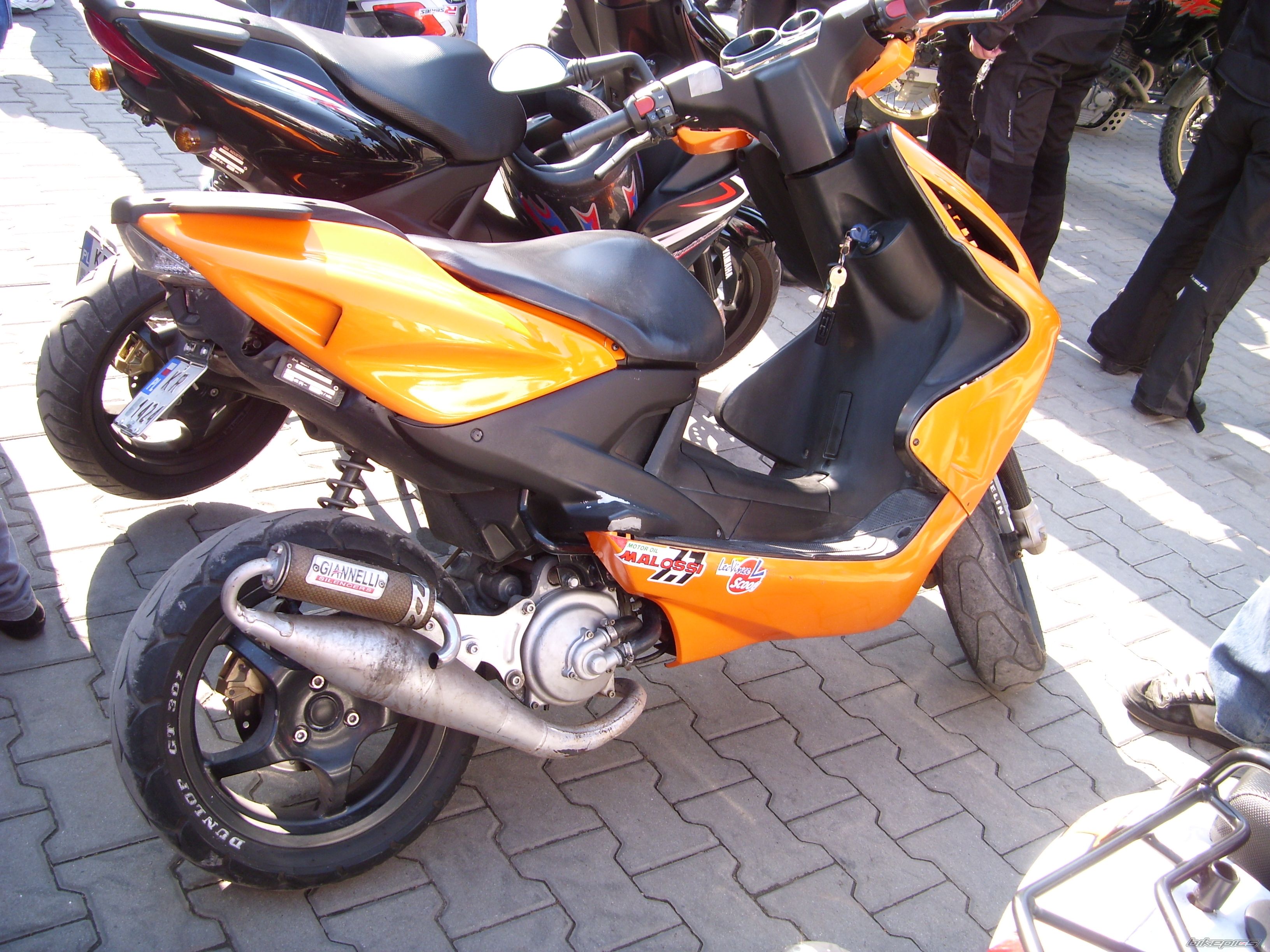 Photo 1431273