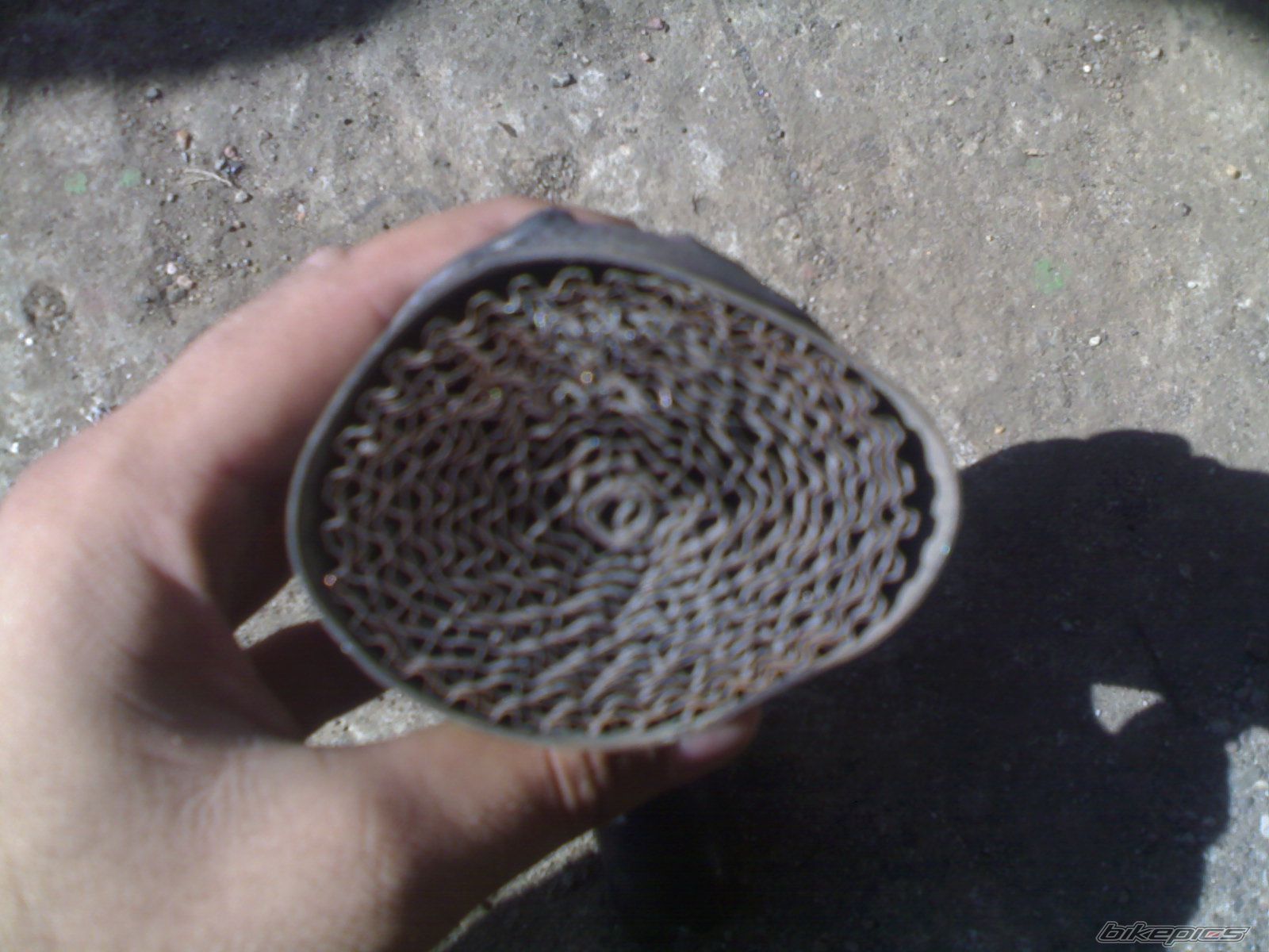 Photo 1431287