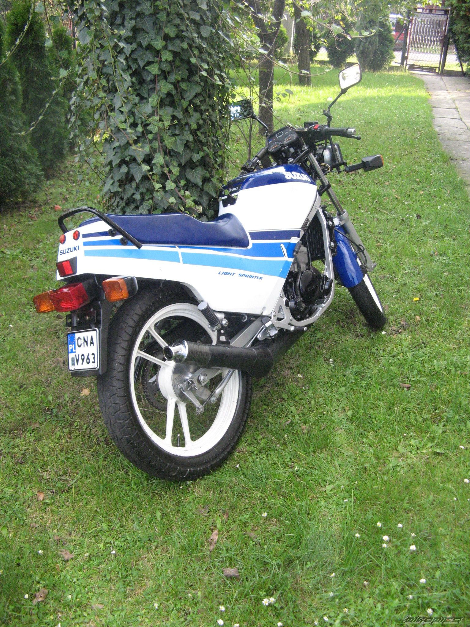 Photo 1431292
