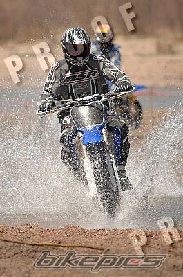 Photo 1431299