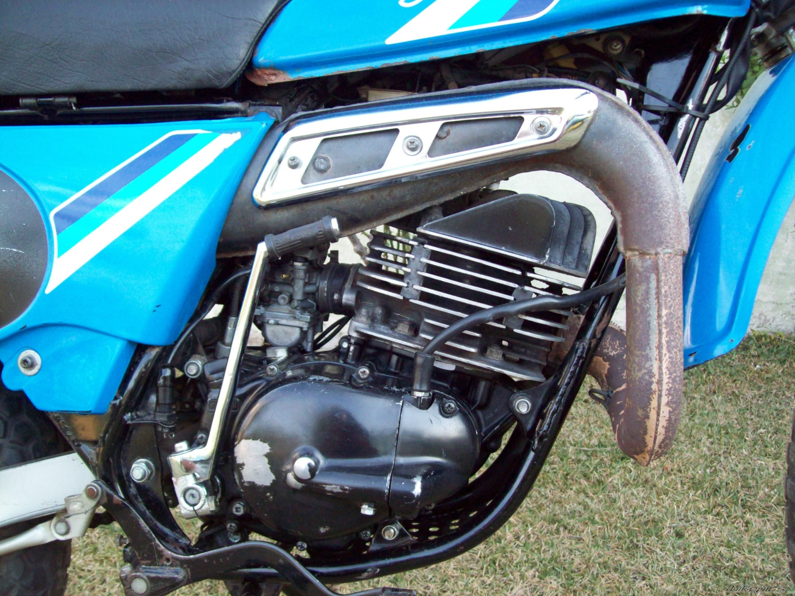 Bike Photo 1431325