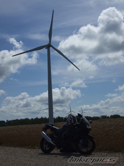 Photo 1431337