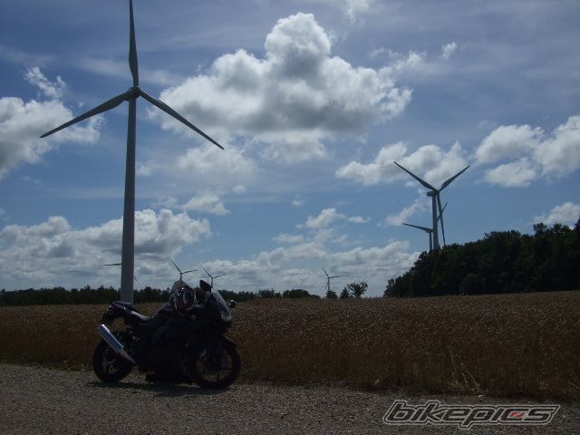 Photo 1431339