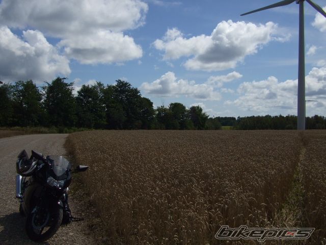 Photo 1431340