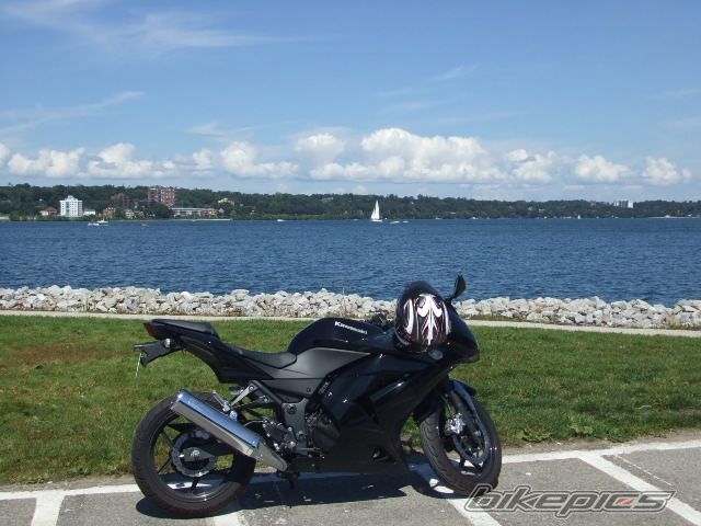 Photo 1431342