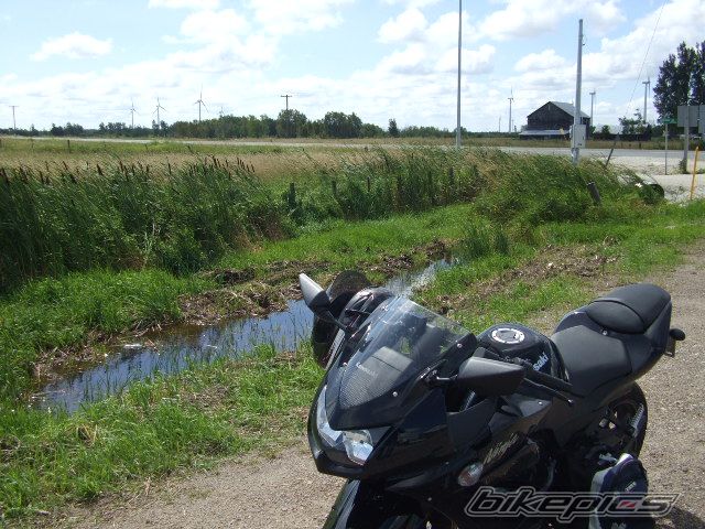 Photo 1431344