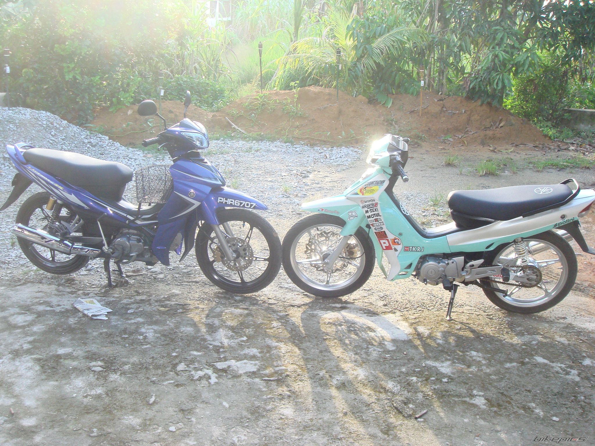 Photo 1431348