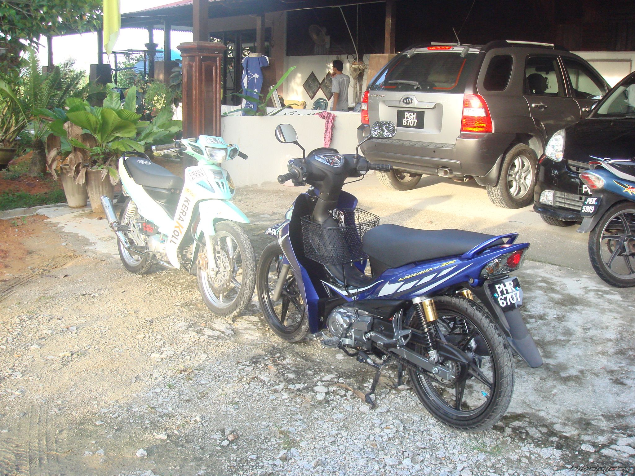 Photo 1431352