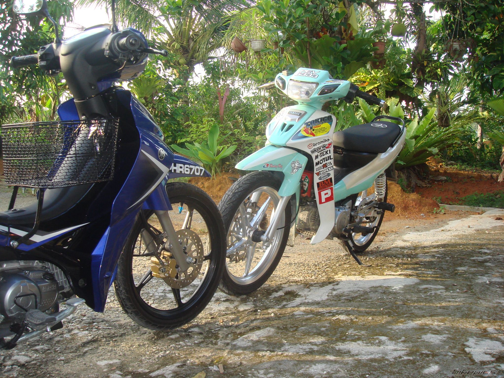 Photo 1431354