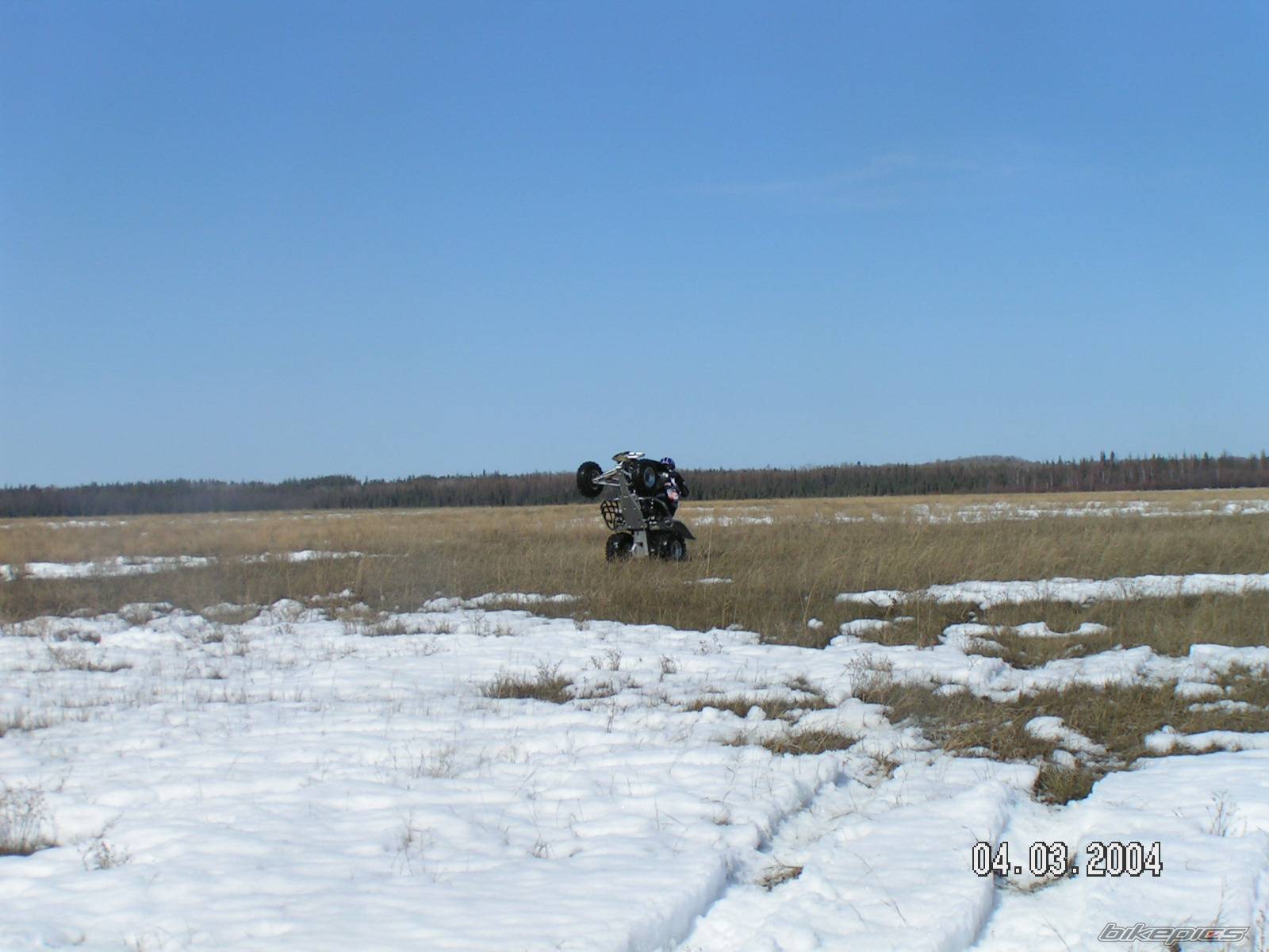 Photo 143143