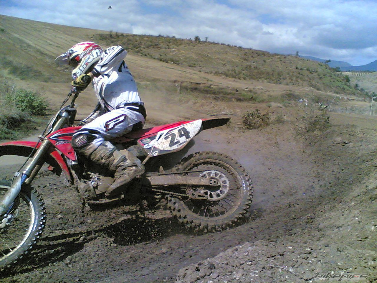 Photo 1431433