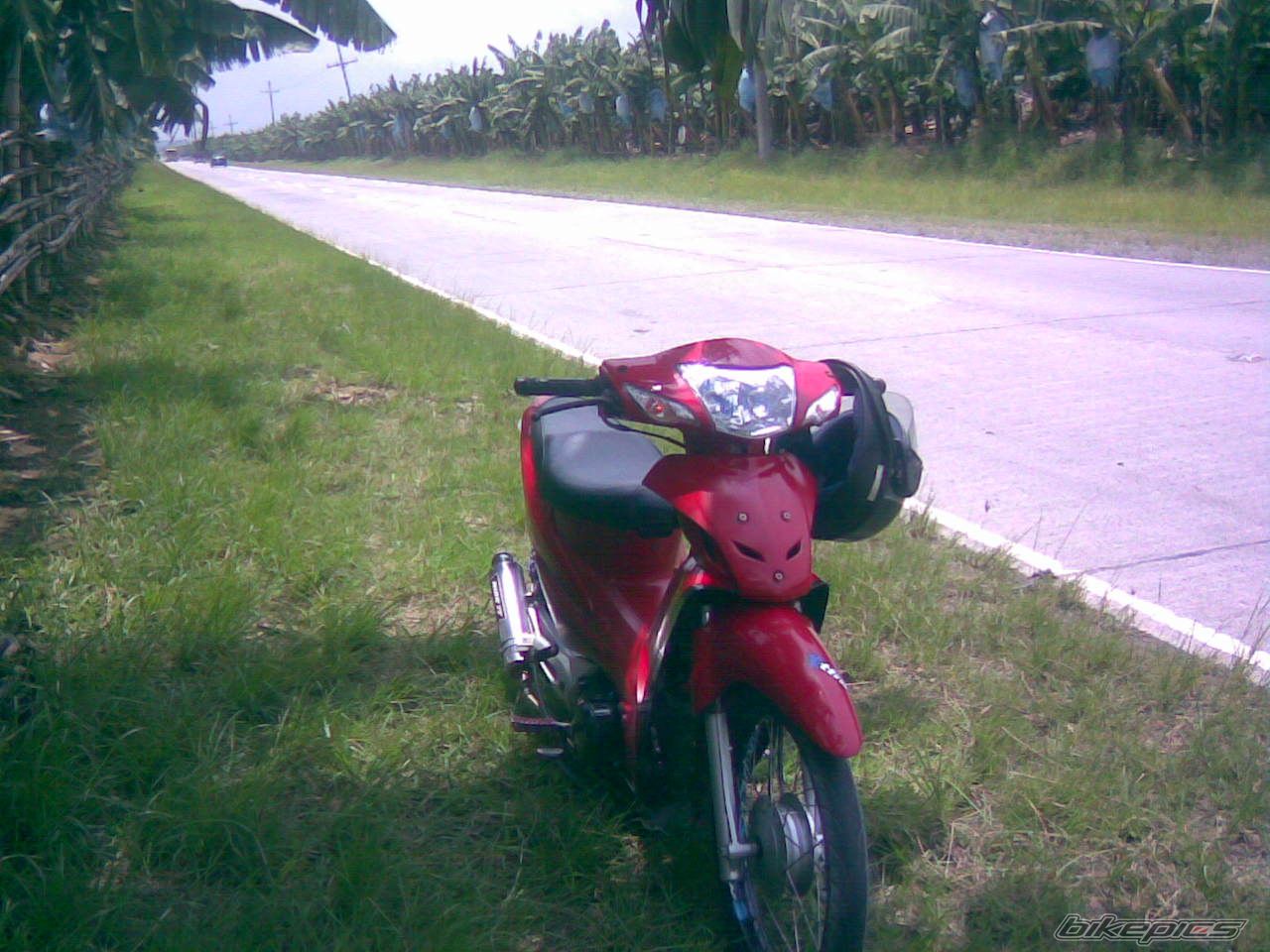 Photo 1431449