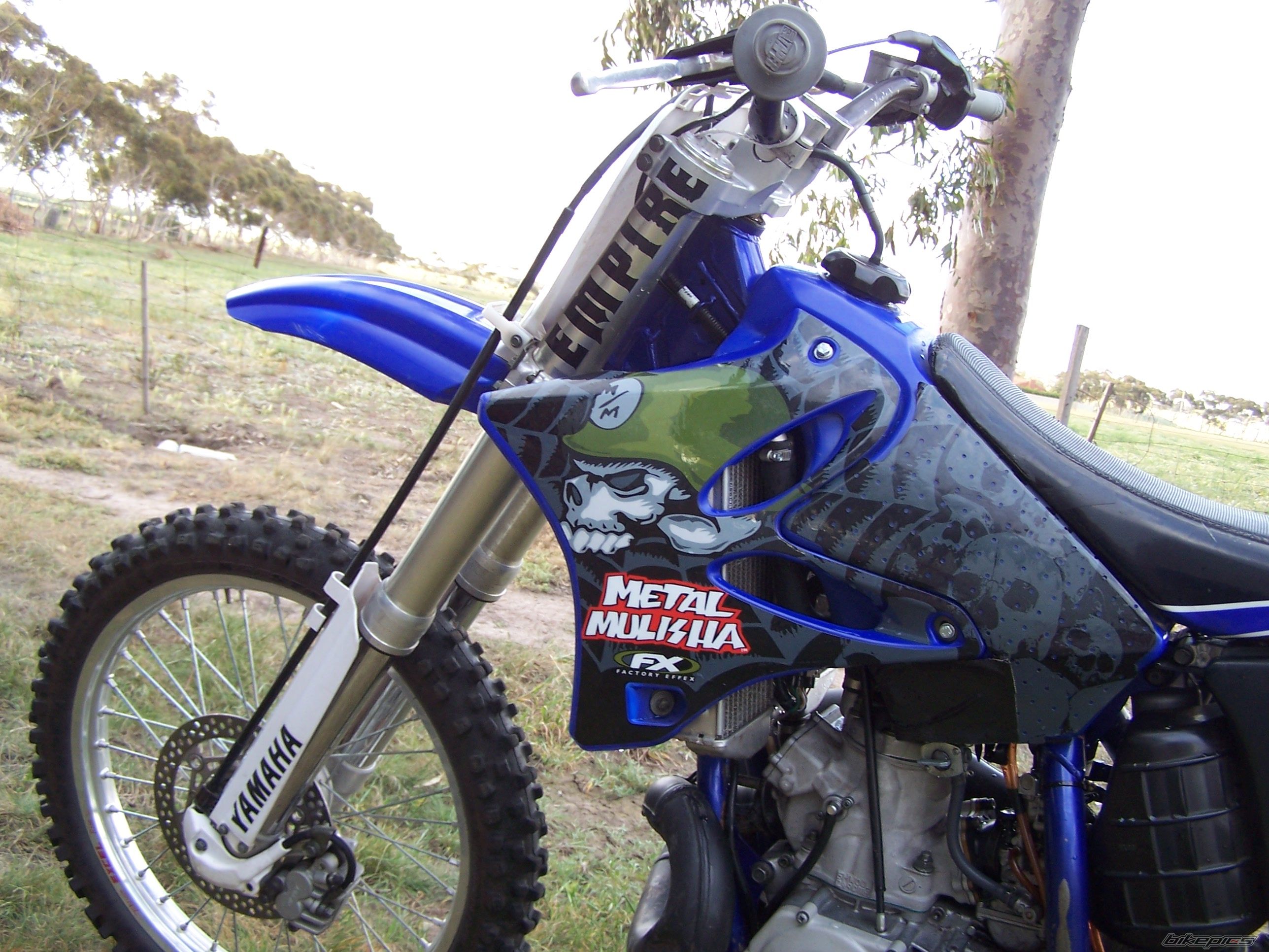 Photo 1431465