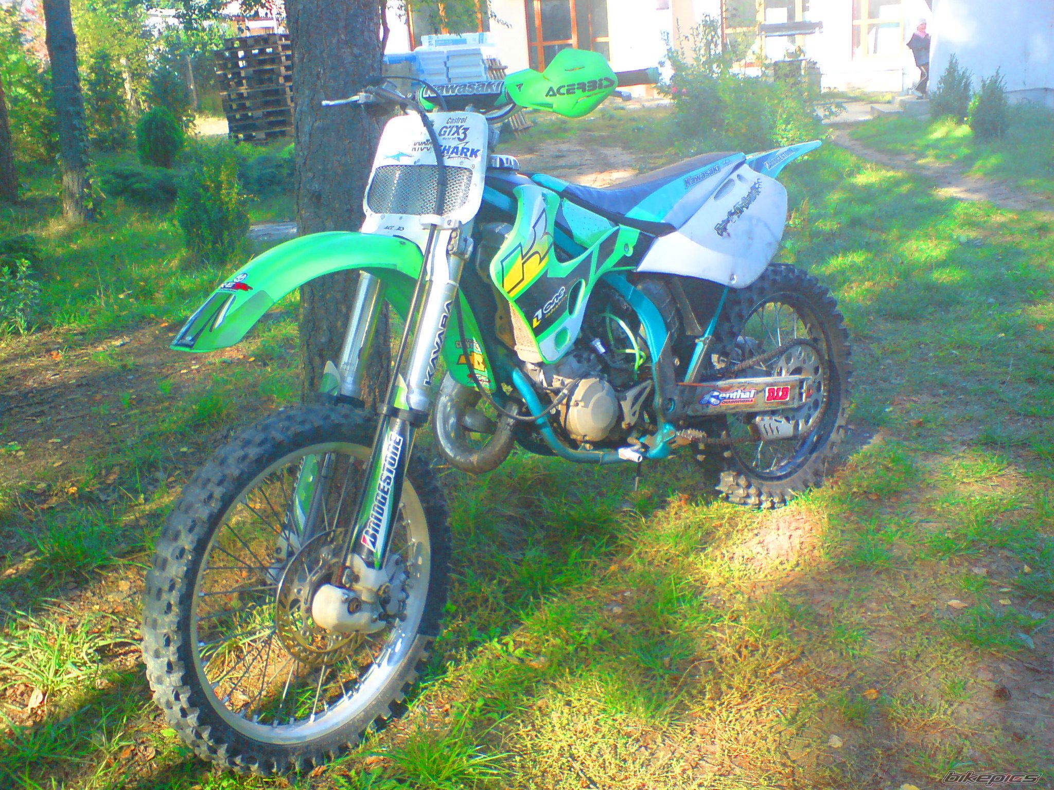Photo 1431481