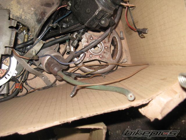 Bike Photo 1431501
