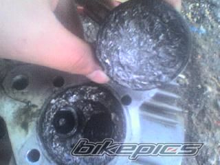Photo 1431528