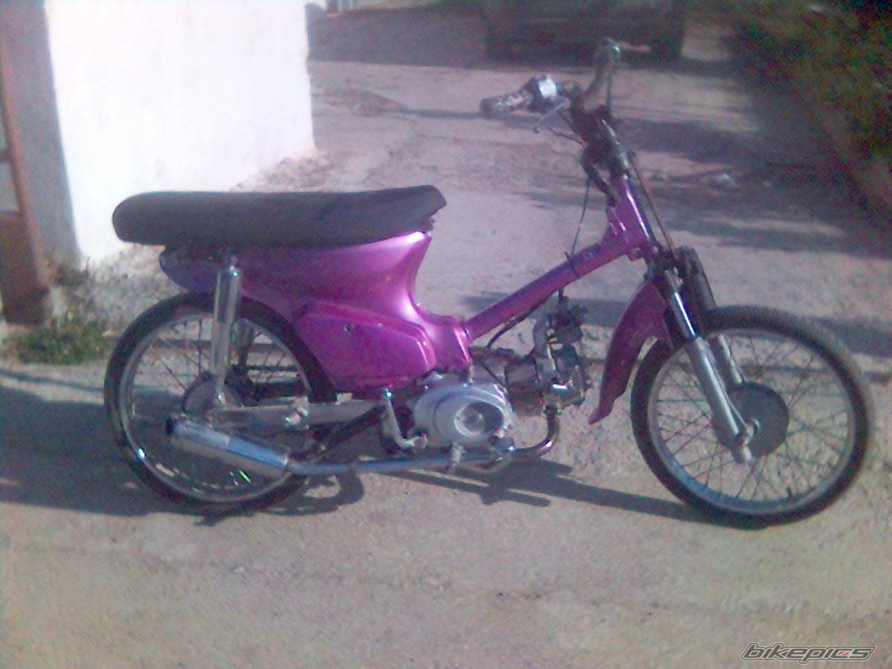 Photo 1431529