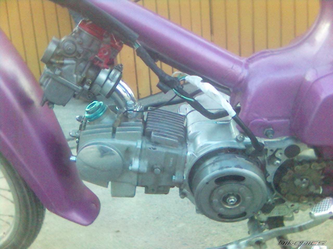 Photo 1431531