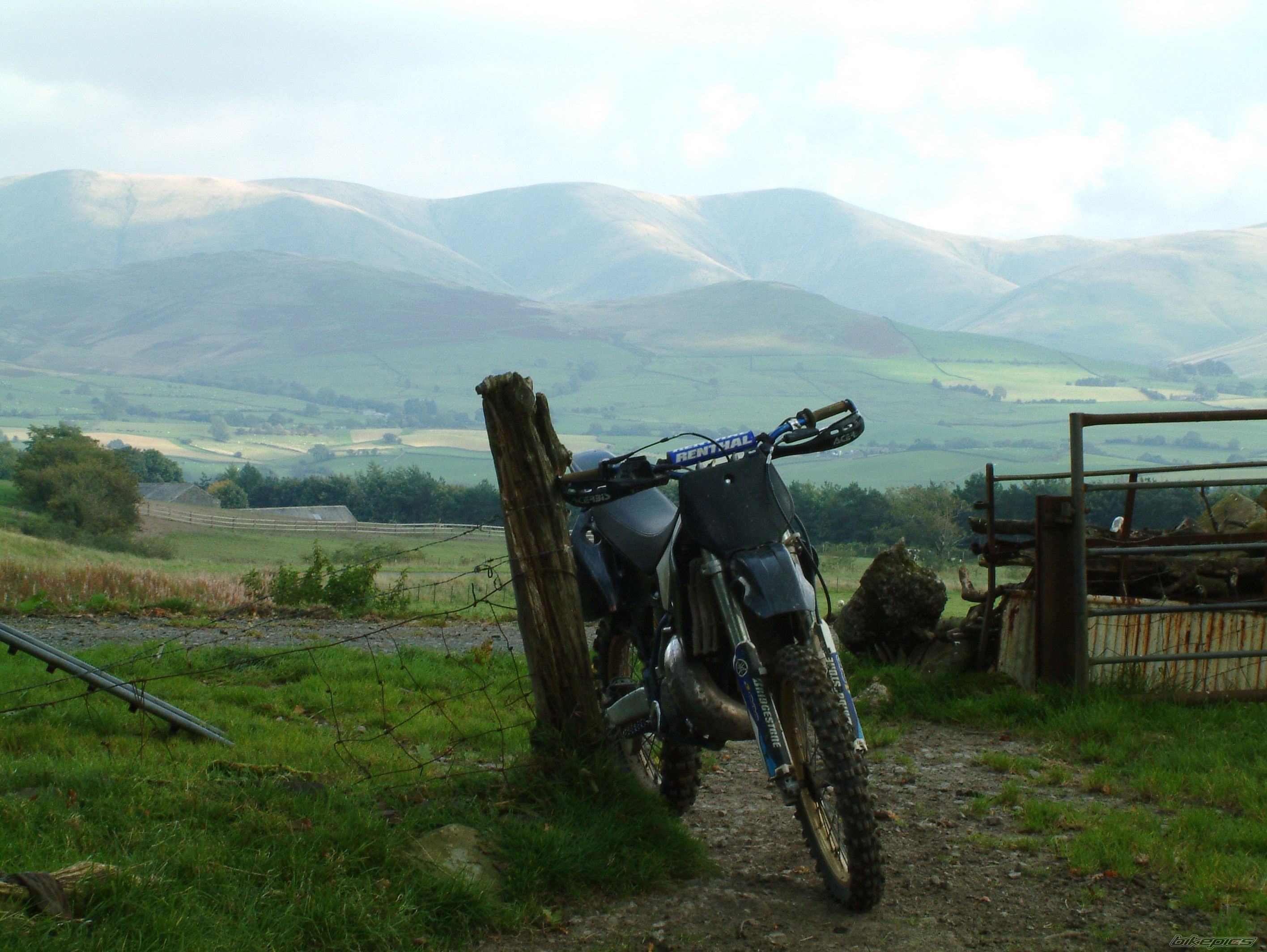 Photo 1431554