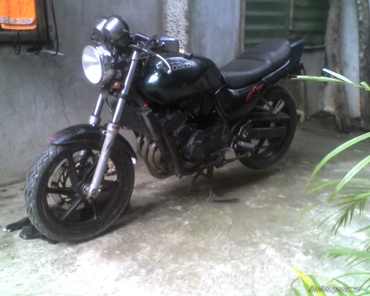 Photo 1431574