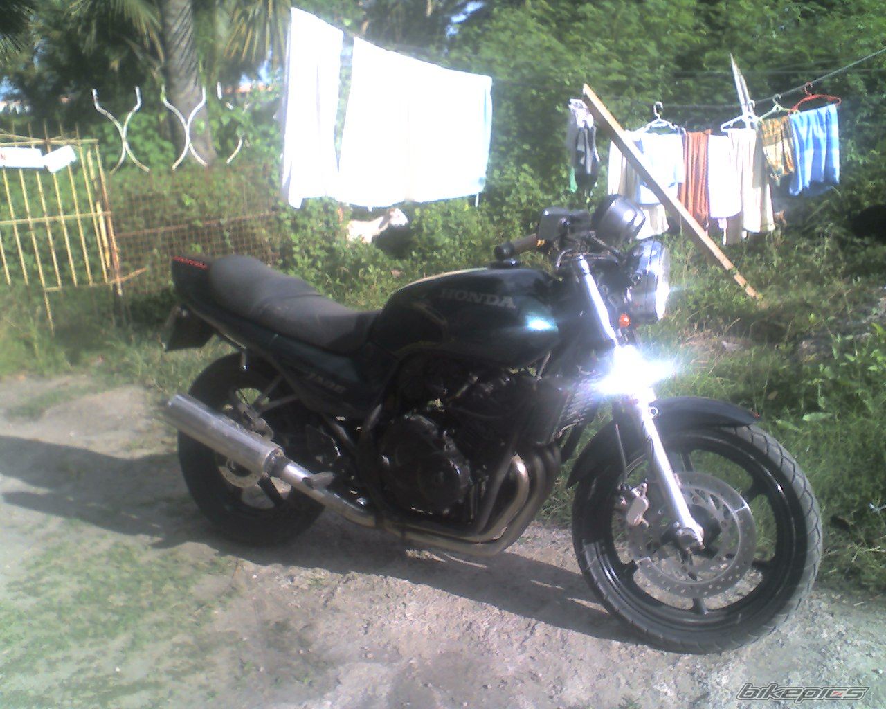 Photo 1431576