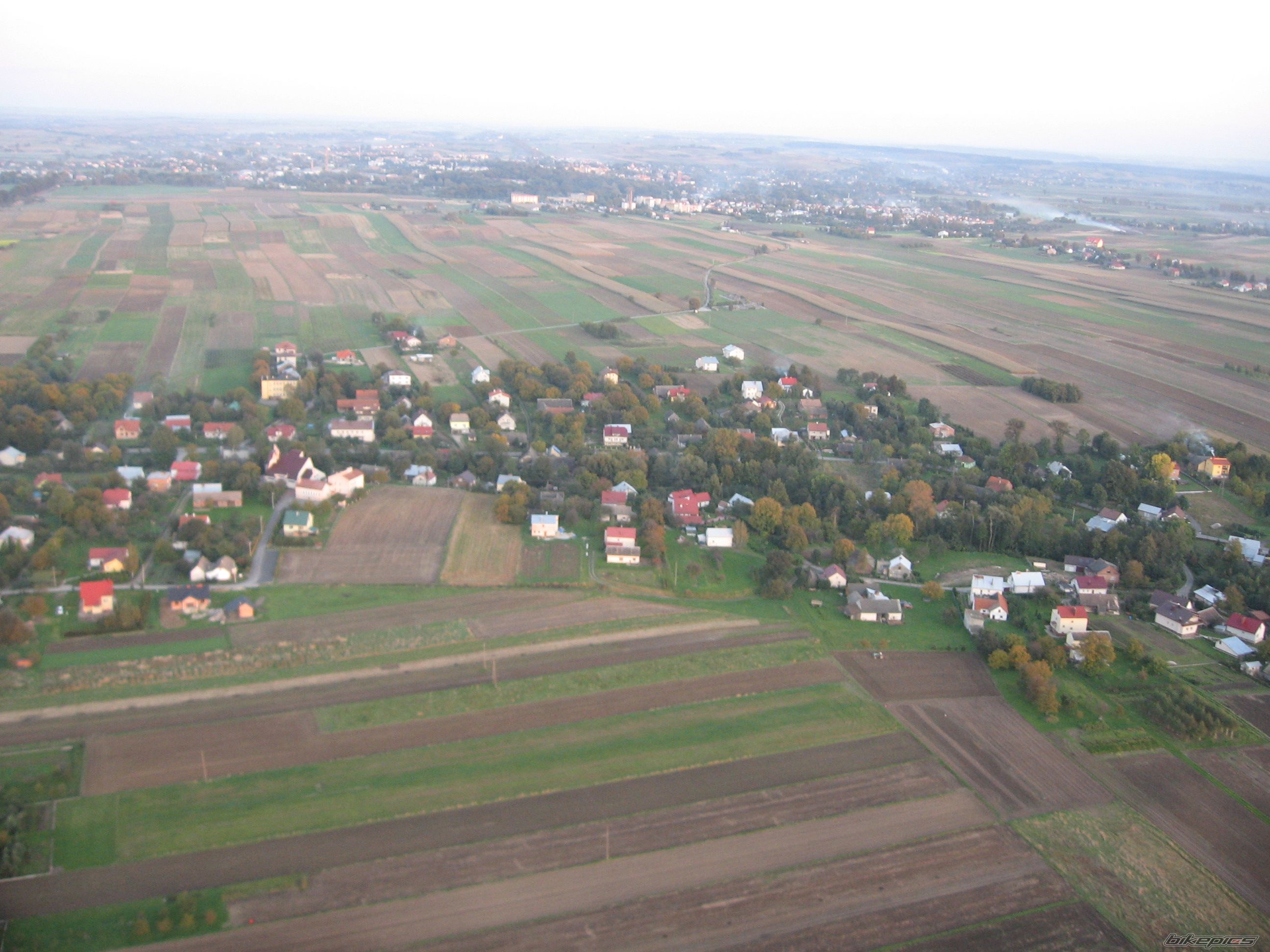 Photo 1431583