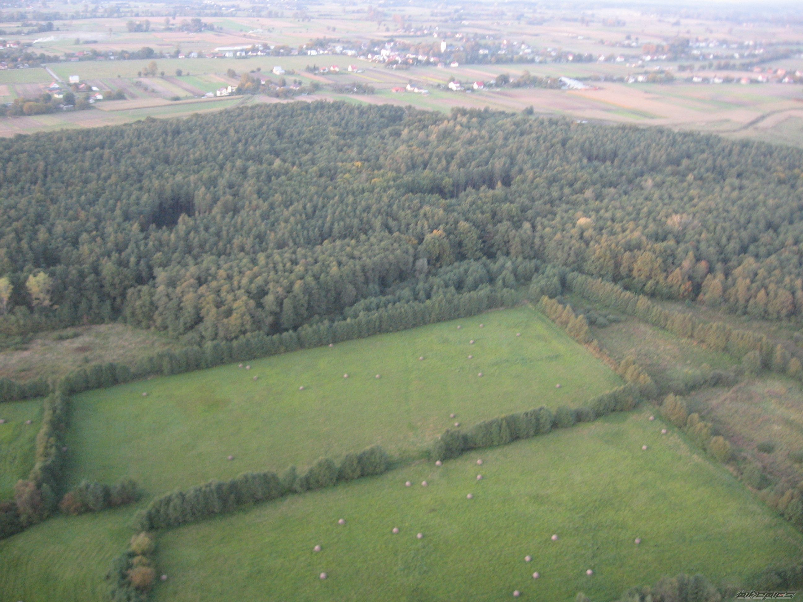Photo 1431590