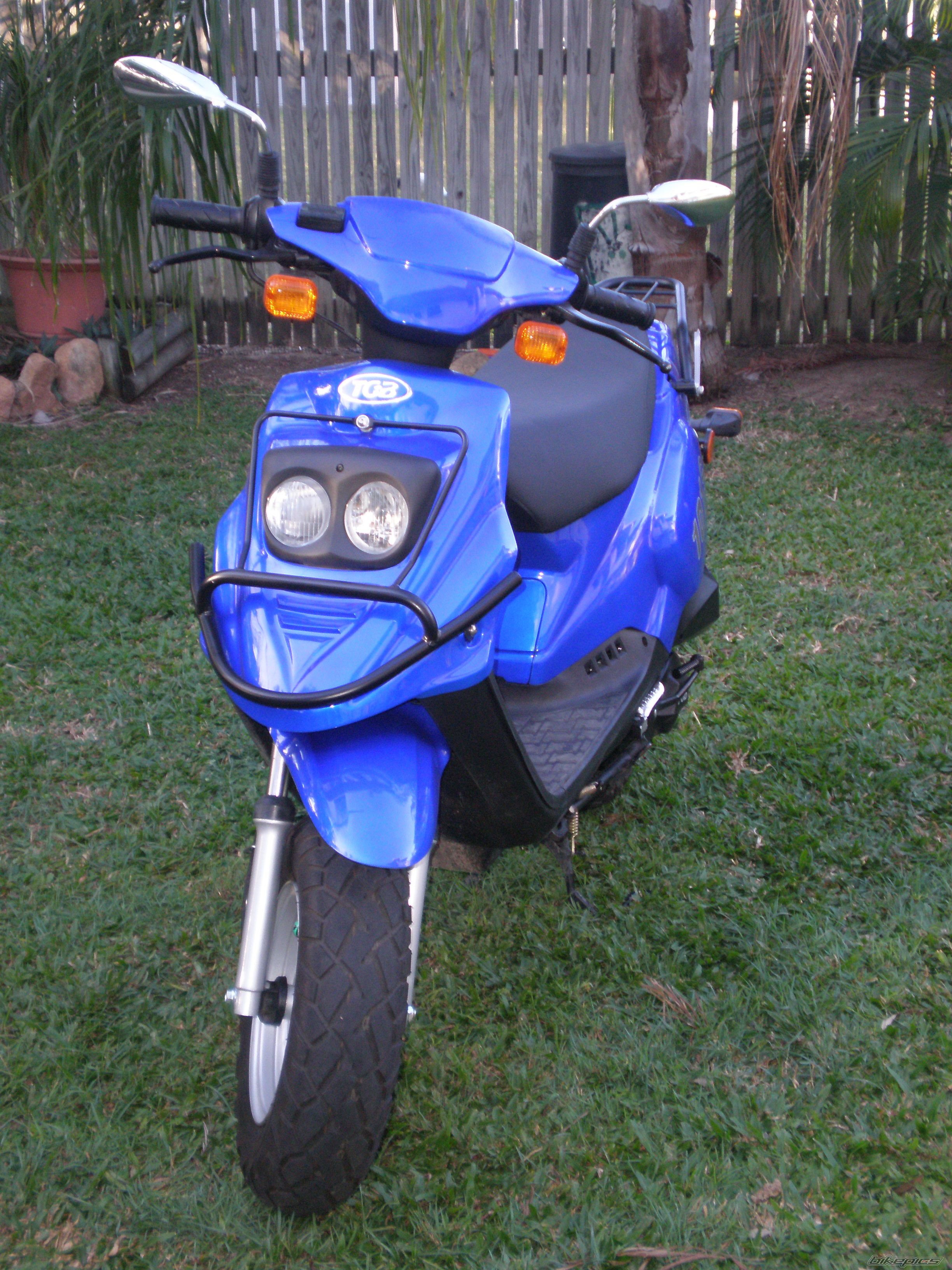 Photo 1431593