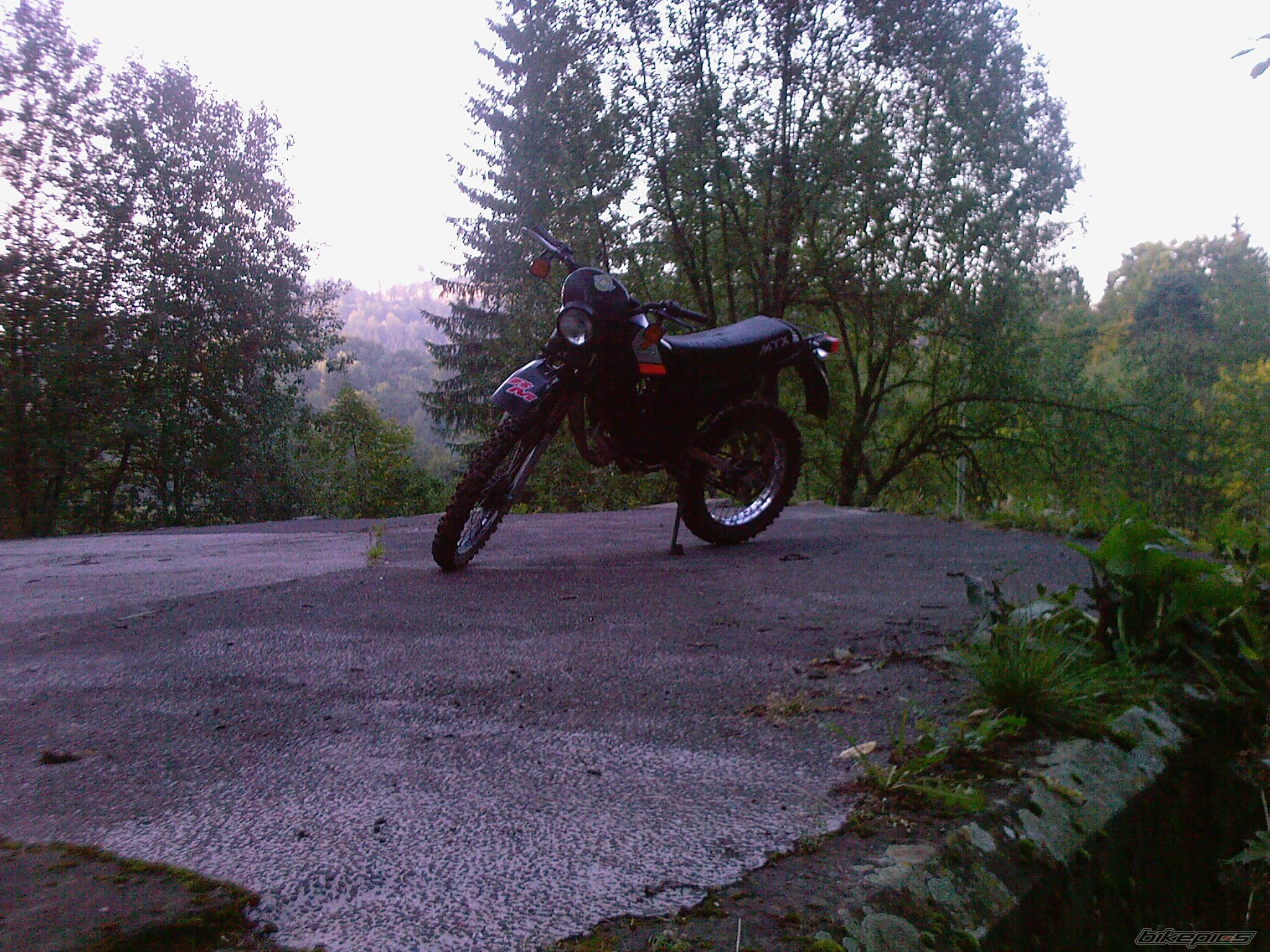 Photo 1431602