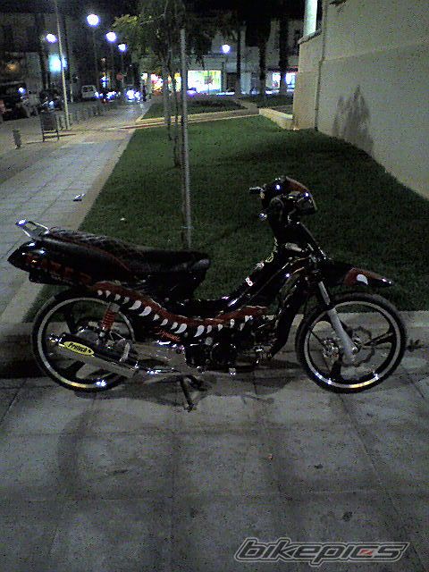 Photo 1431648