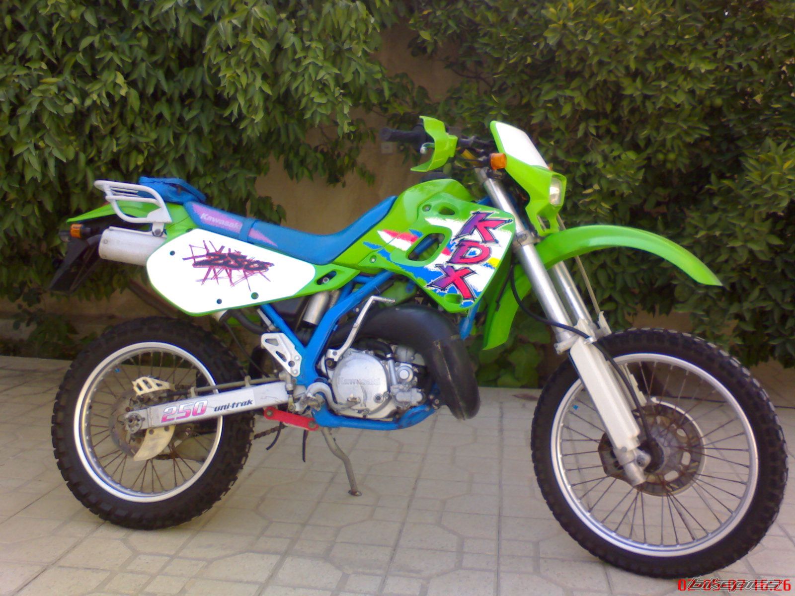 Photo 1431656