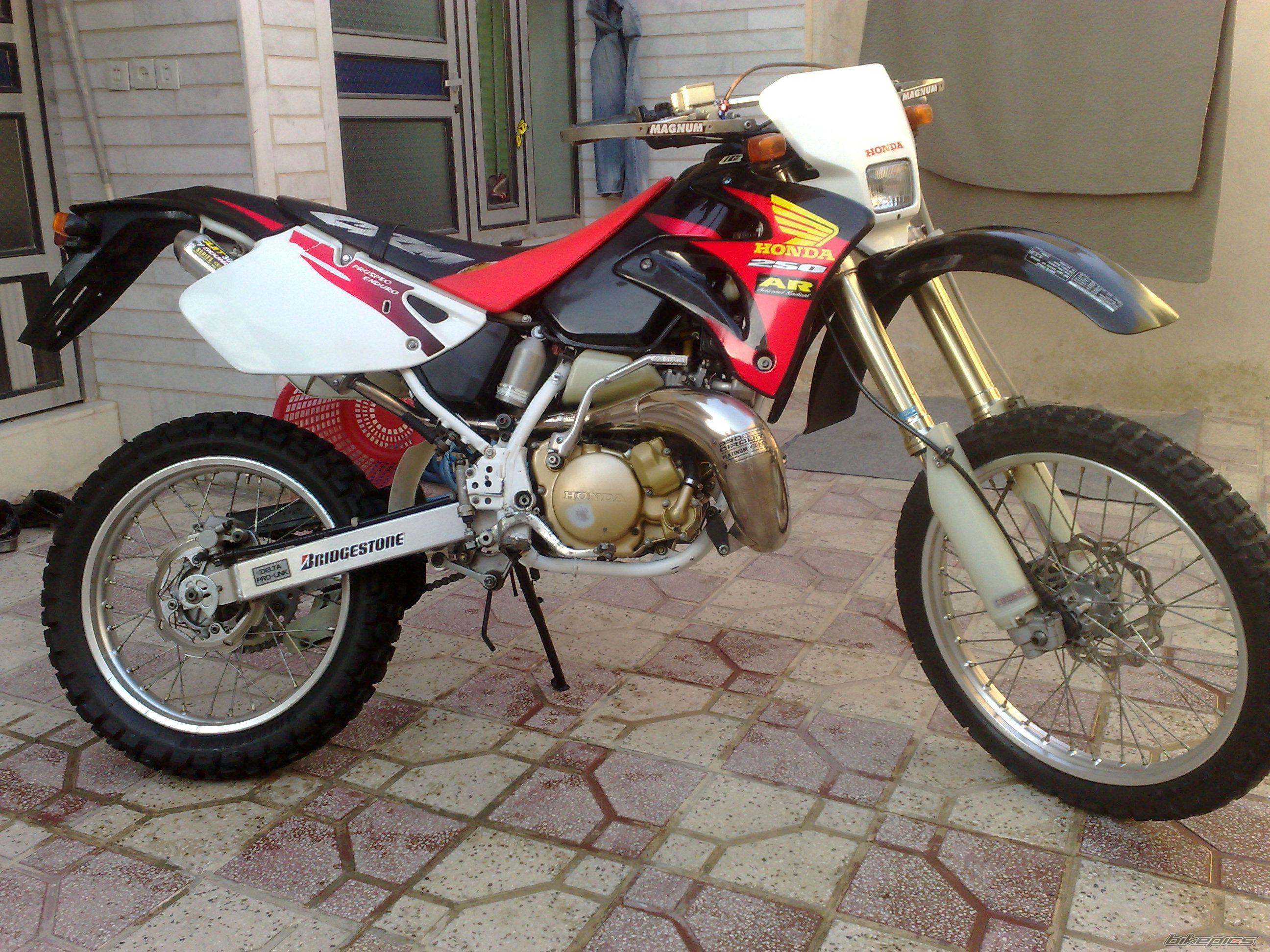 Photo 1431660