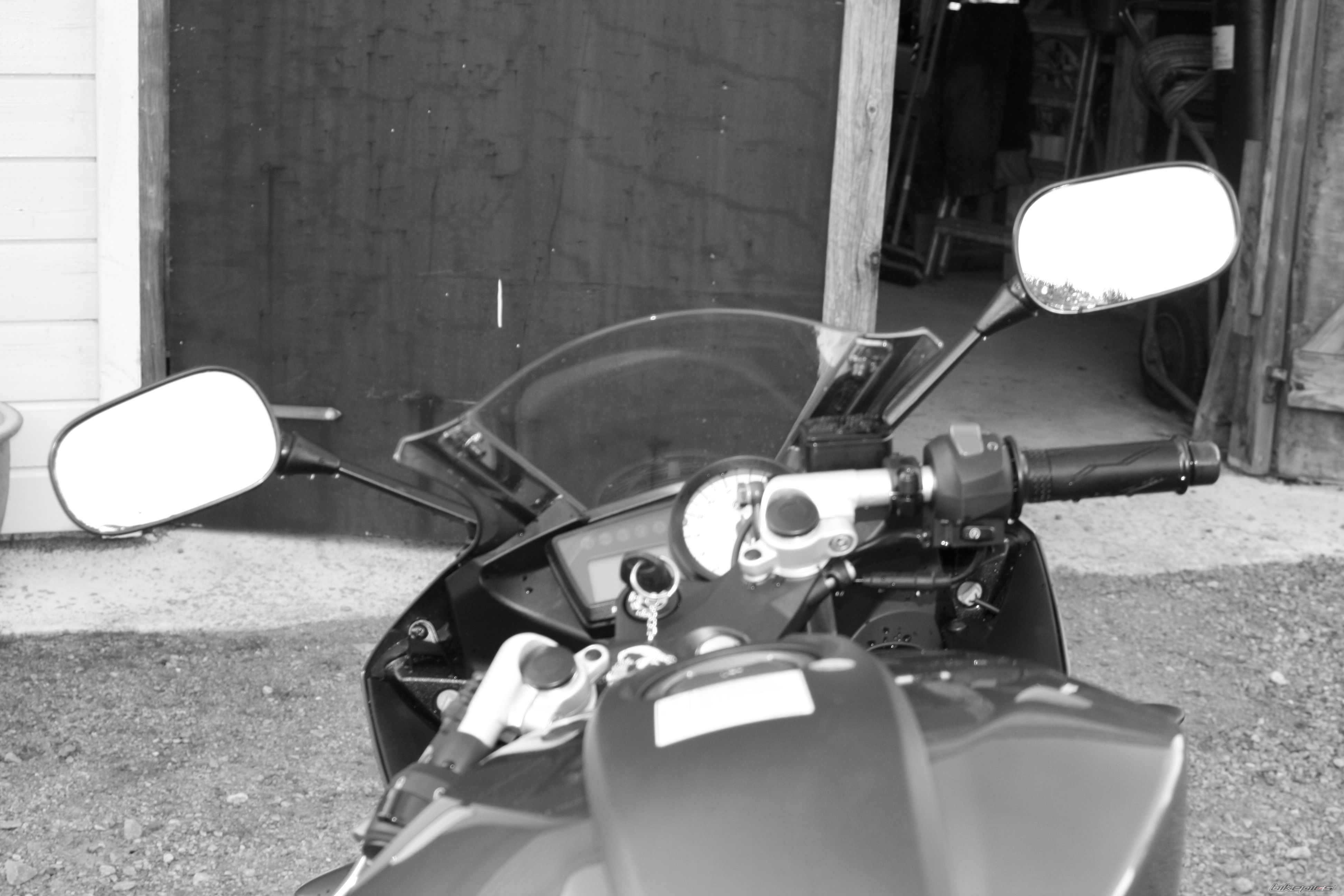 Photo 1431666