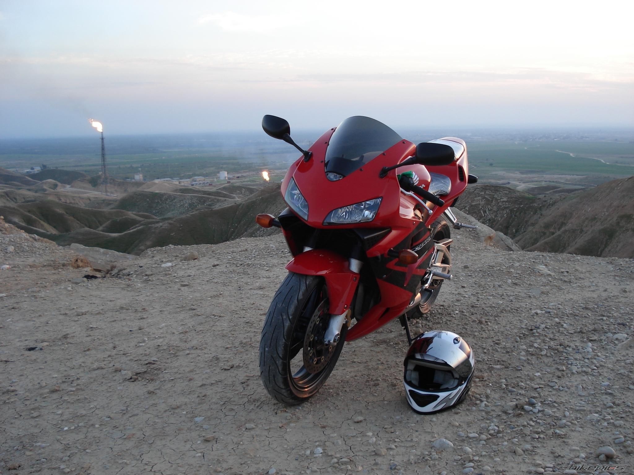 Photo 1431672