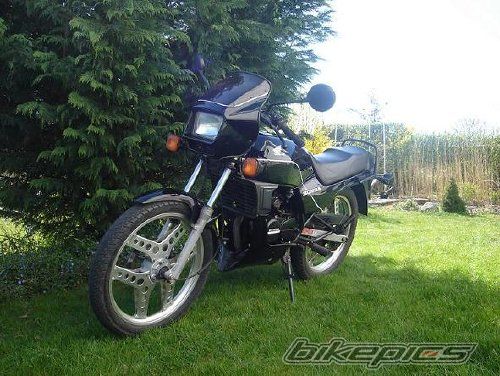 Photo 1431680