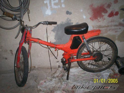 Photo 1431723