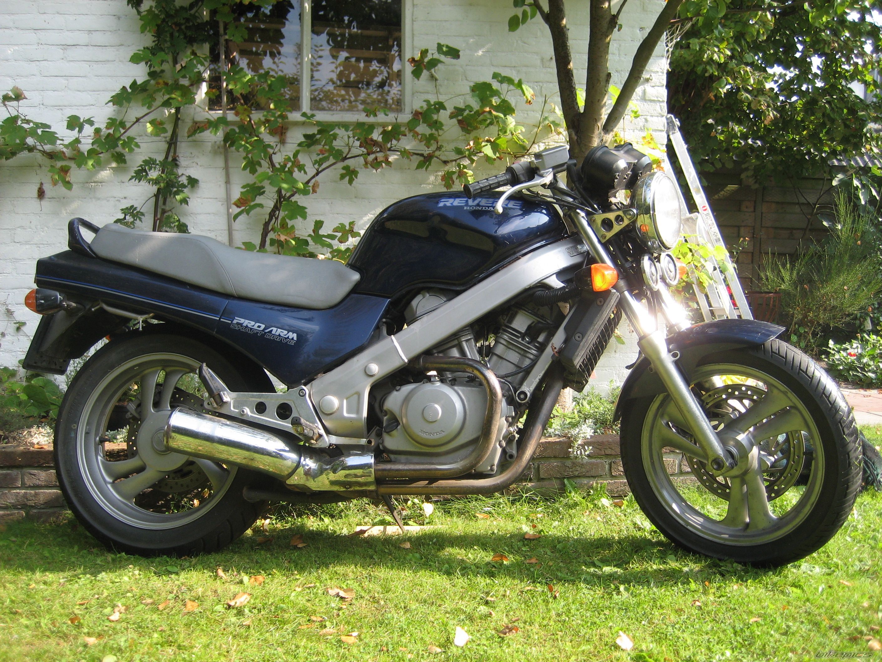 Photo 1431766