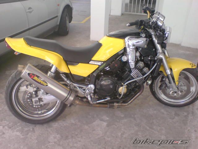 Photo 1431768