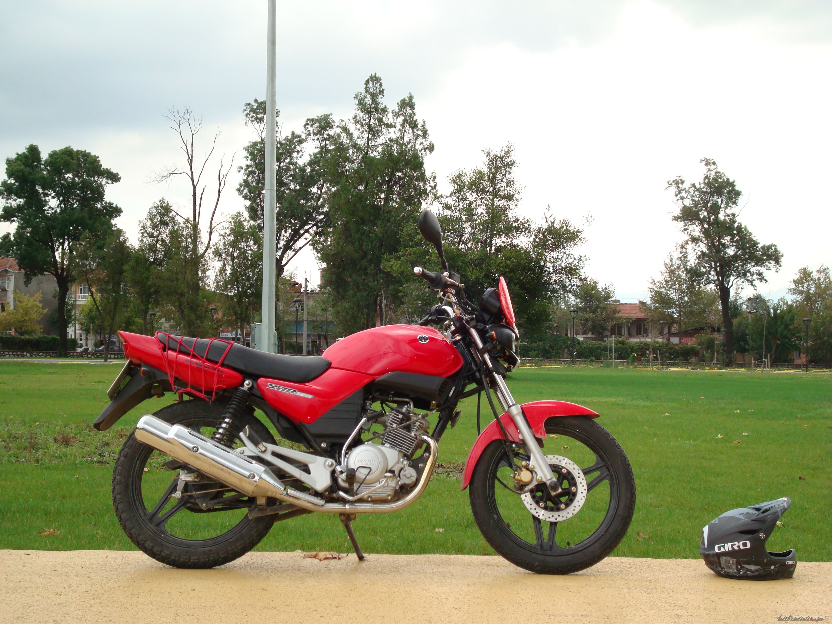 Photo 1431783